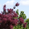 P1100533
