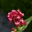 P1100535