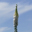 P1100537