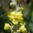 P1100539