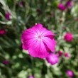 P1100540