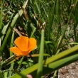 P1100559