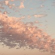 IMG_9535