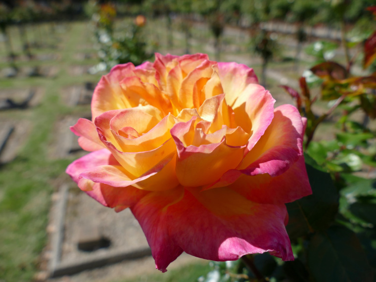 P1280160