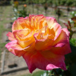 P1280160
