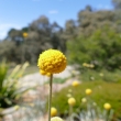 P1120791