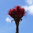 P1120793