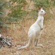 DSCN3810
