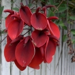 p1270942